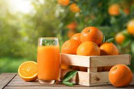 Top 10 Health Benefits of Orange: Nature’s Vitamin C Powerhouse